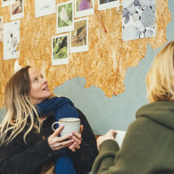 Cafe Wall Creates a Conservation Conversation